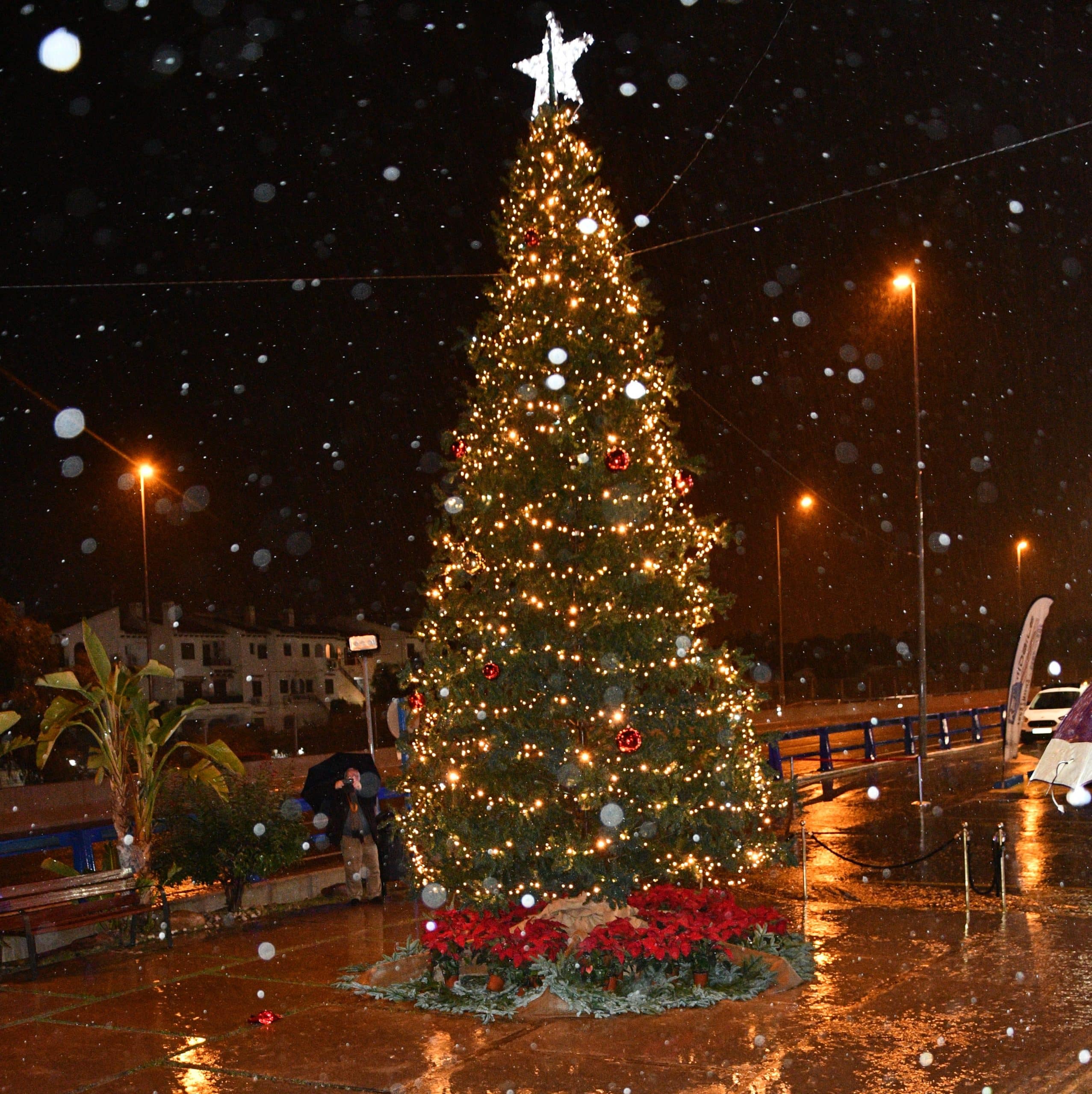 Se Realiza El Encendido De Luces De Navidad En Orihuela Costa