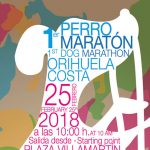 perro-maratón-orihuela