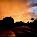 001 – otoño y la nube 1