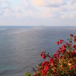 003 -Desde aquí con amor