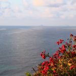 003 -Desde aquí con amor