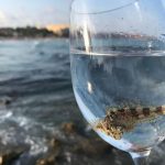 010 -Atardeceres desde el puerto (2)