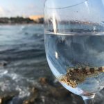 010 -Atardeceres desde el puerto (2)