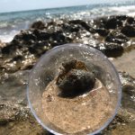 010 -Atardeceres desde el puerto (3)