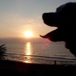 014 -FOTO 1 La calma del amanecer