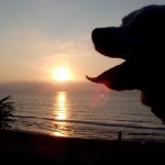 014 -FOTO 1 La calma del amanecer