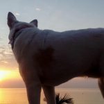 014 -FOTO 2 El poder del amanecer