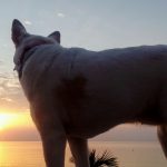 014 -FOTO 2 El poder del amanecer