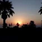 014+- FOTO 3 La belleza de lo simple