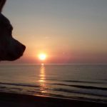 014-FOTO 4 Contemplación amanecer