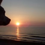 014-FOTO 4 Contemplación amanecer