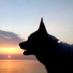 014- FOTO 5 Creando el amanecer