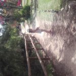 018- Campoamor y sus paseos