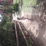 018- Campoamor y sus paseos