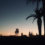 019- girls just wanna get palm