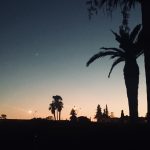 019- girls just wanna get palm