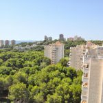 023- campoamor es verde es pinar