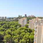 023- campoamor es verde es pinar