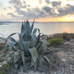 023- comienza campoamor comienza el dia