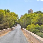 025- Caminando al futuro