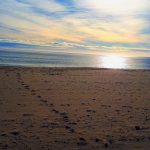 027- El camino que te lleva