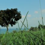 028 – HAY UNA FORMA DE BELLEZA EN LA IMPERFECCION