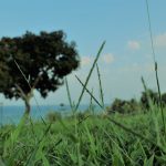 028 – HAY UNA FORMA DE BELLEZA EN LA IMPERFECCION