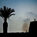 035- Descanso de la gaviota