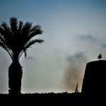 035- Descanso de la gaviota