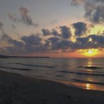 036- IMG_20180812_073043-01