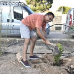 arboles campoamor