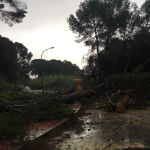 lluvia-campoamor1