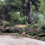 lluviacampoamor5