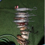 calamares3-1