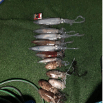 calamares3