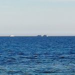 cazaminas en campoamor