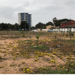 lluvia en campoamor