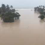 temporal6