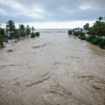 agua-en-Río-Nacimiento