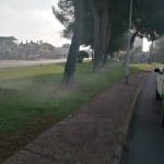 fumigando mosquito tigre