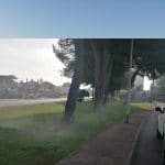 fumigando mosquito tigre