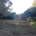 limpieza rambla barranco rubio
