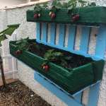 como reciclar palets y hacer un huerto – huerto con palets para hacer en casa