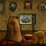 series-familiares-1
