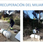 milario-de-campoamor