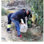 recuperacion del milario de campoamor
