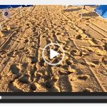 video-sombrillas-playa-moreno-schmidt-campoamor