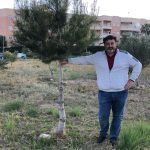arboles-campoamor-5-anos