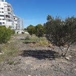 parcela arboles en dehesa de campoamor