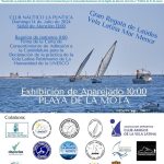 Regata 14